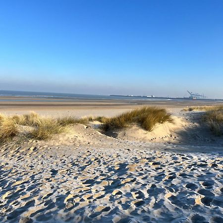 Dune Du Clemot ブランケンベルヘ エクステリア 写真