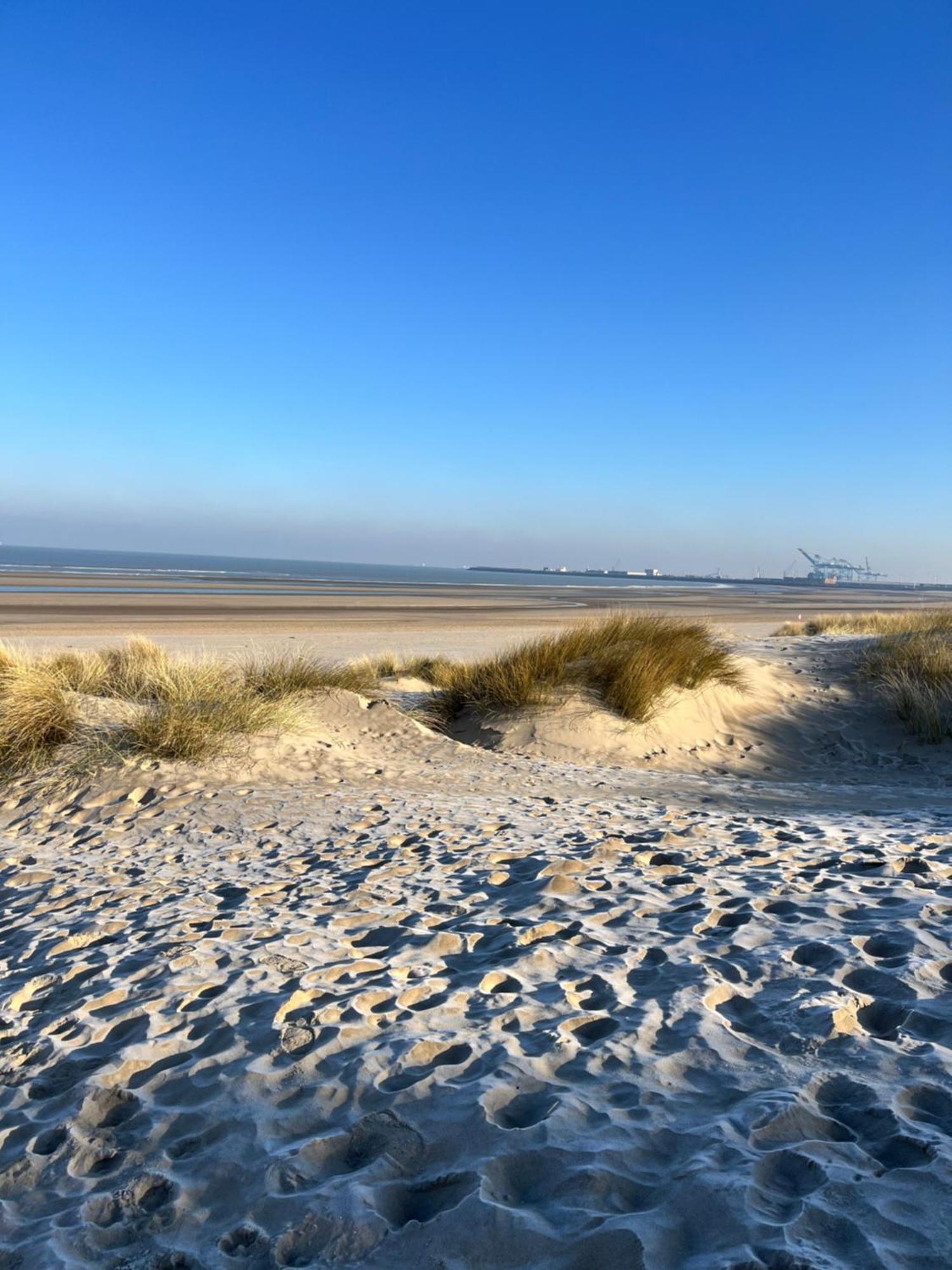 Dune Du Clemot ブランケンベルヘ エクステリア 写真