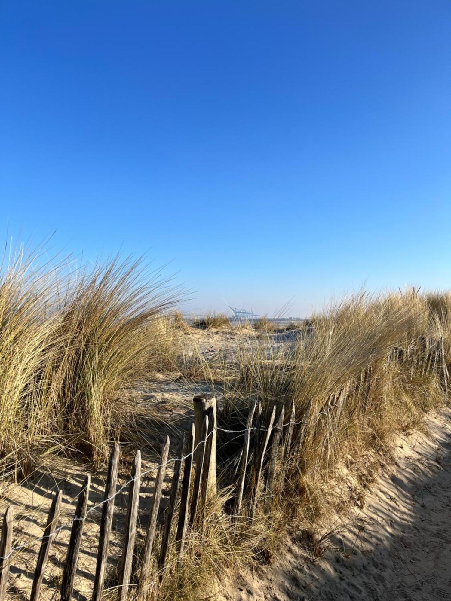 Dune Du Clemot ブランケンベルヘ エクステリア 写真